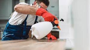 Best Residential Pest Control  in West Branch, MI